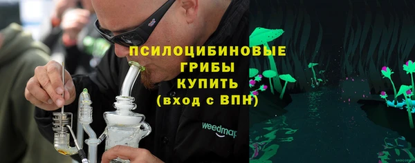 гашик Зеленокумск
