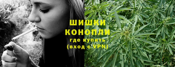 дживик Зерноград
