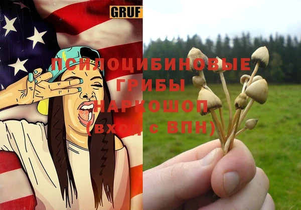 дживик Зерноград