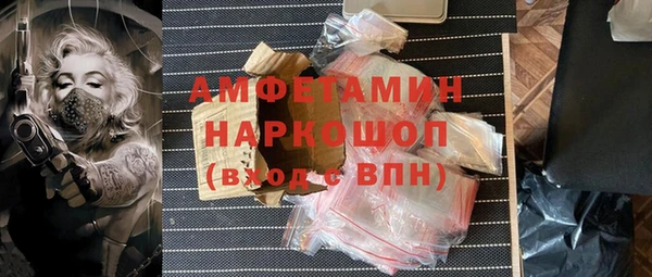 гашик Зеленокумск