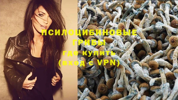гашик Зеленокумск