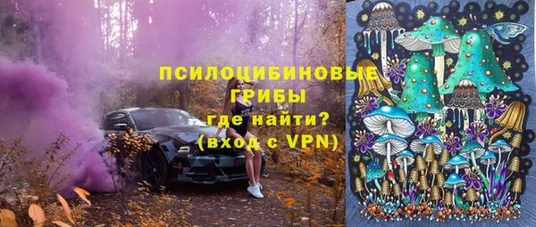 гашик Зеленокумск