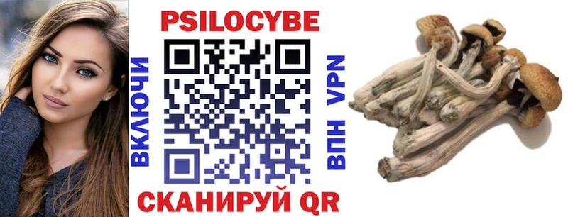 Галлюциногенные грибы ЛСД  дарнет шоп  Суджа 